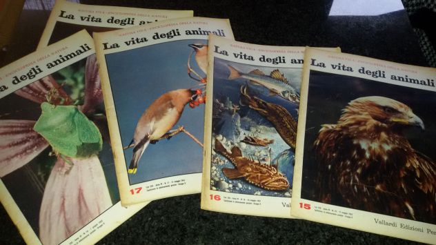 NATURA VIVA - ENCICLOPEDIA DELLA NATURA