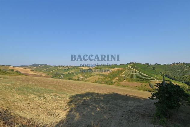PROPRIETA' BRISIGHELLA - VIA LODOLONE 29 - Foto 9