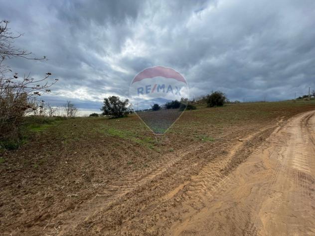 Terreno in vendita a Caltagirone - Foto 2