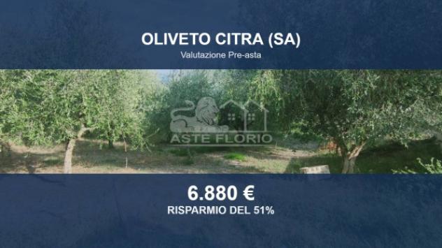 Immobile in asta di 6948 m² in vendita a Oliveto Citra
