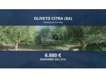 Immobile in asta di 6948 m² in vendita a Oliveto Citra