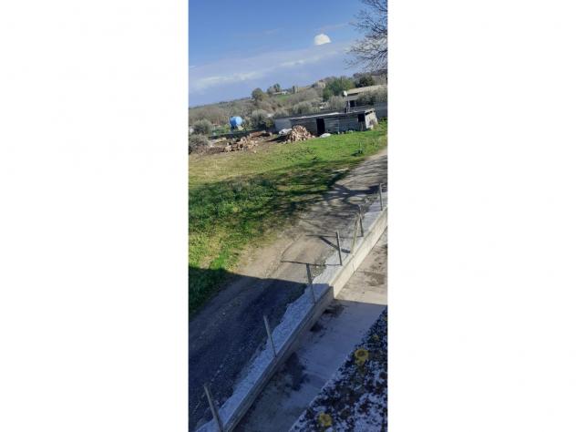 Agricolo in Via Antonio Neviani - Foto 4