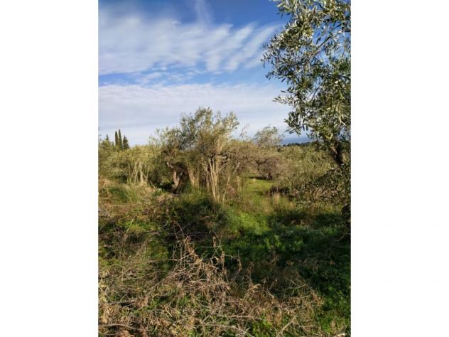 Agricolo in Contrada Rovetto - Foto 4