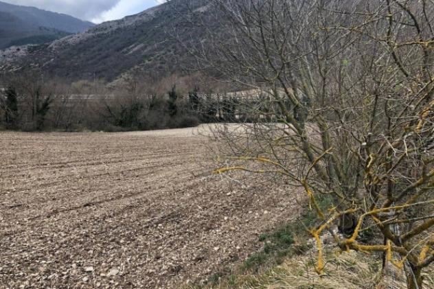 Immobile in asta di 377790 m² in vendita a Cagli - Foto 10
