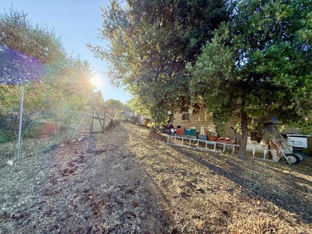 TERRENO AGRICOLO di 3 vani e di 142179 mq (GROSSETO - Istia d'Ombrone) rif. TE.41 - Foto 16