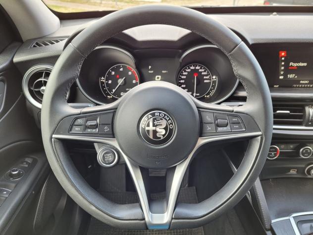 Alfa Romeo Stelvio 2.2 Turbodiesel 180CV AT8 Business-MOTORE e FAP NUOVI - Foto 9