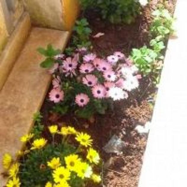 B&amp;B Comfort Suit Lecce