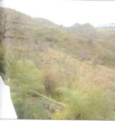 Immobile in asta di 38330 m² in vendita a Castelmola - Foto 3