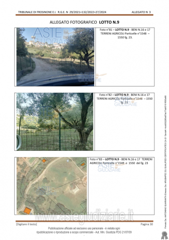 IMMOBILI-ALTRA CATEGORIA-Via Croce tani Fumone - Foto 2