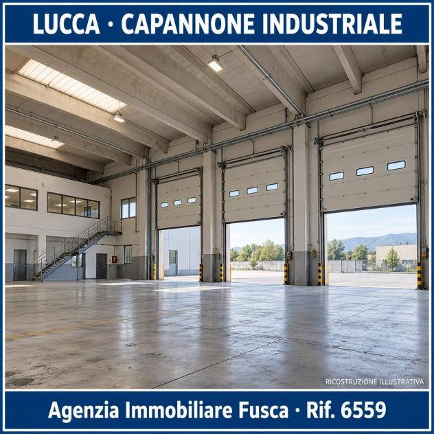 Industriale/Artigianale in vendita a Lucca - Foto 13