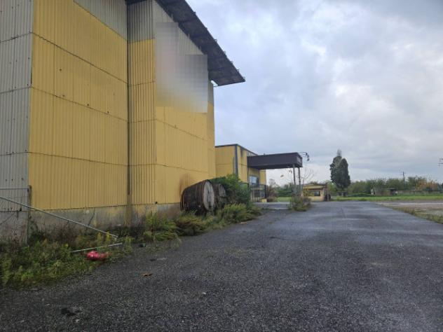 Immobile in asta di 7600 m² in vendita a Crespina e Lorenzana - Foto 6