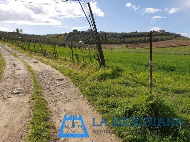 Terreno agricolo in vendita a Cerreto Guidi 21500 mq Rif: 1071586 - Foto 7