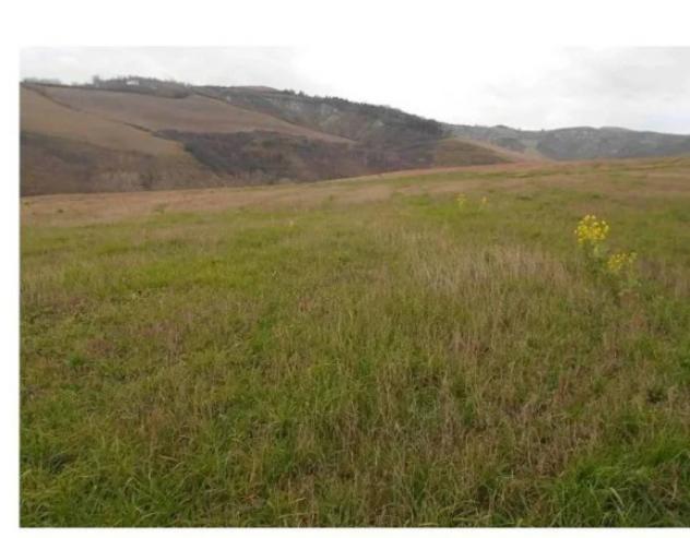 Immobile in asta di 7665 m² in vendita a Montecalvo in Foglia - Foto 10