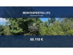 Immobile in asta di 157149 m² in vendita a Montespertoli