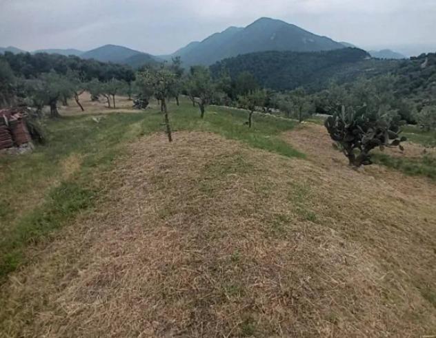 Immobile in asta di 4190 m² in vendita a Norma - Foto 3
