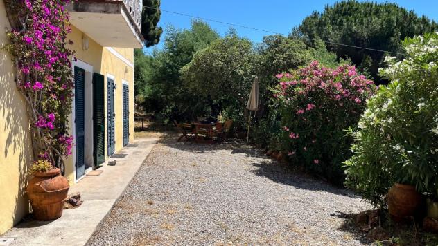 Casale in vendita a Porto Azzurro - Foto 12