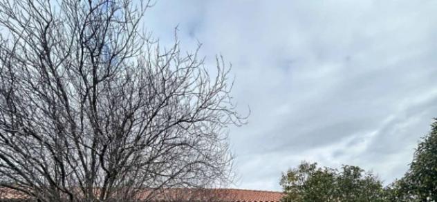 Immobile in asta di 454 m² con più di 5 locali in vendita a Viterbo - Foto 15