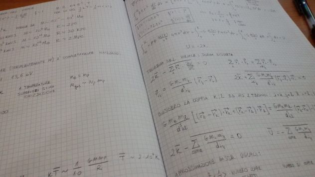 Laureato con lode in Fisica impartisce lezioni di Fisica e Matematica online