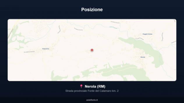 Immobile in asta di 25000 m² in vendita a Nerola - Foto 9