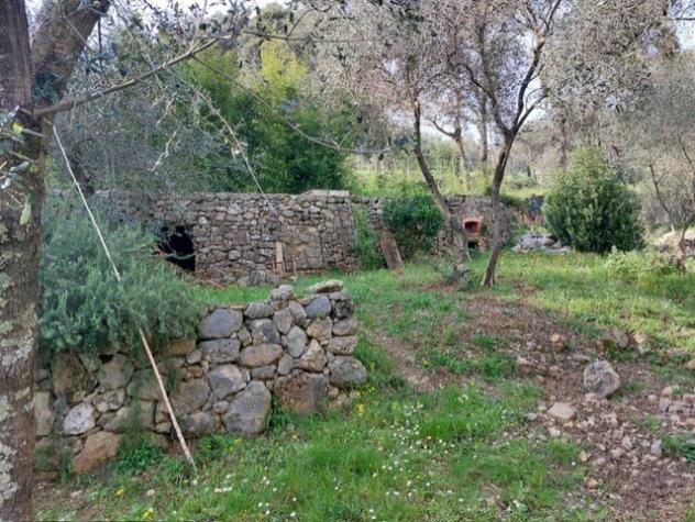 Rustico in vendita a Ameglia - Foto 13
