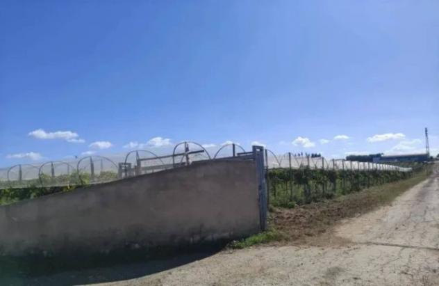 Immobile in asta di 23925 m² in vendita a Licodia Eubea - Foto 3