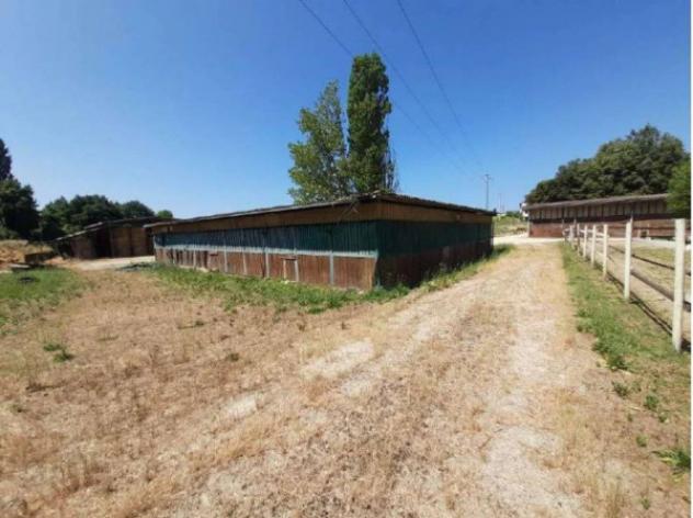 Immobile in asta di 188615 m² in vendita a Castelnuovo Berardenga - Foto 2