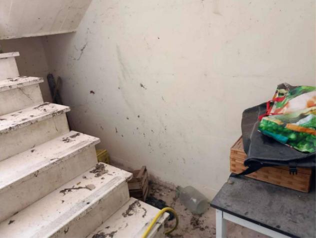 Immobile in asta di 112 m², box auto in vendita a Colli al Metauro - Foto 11