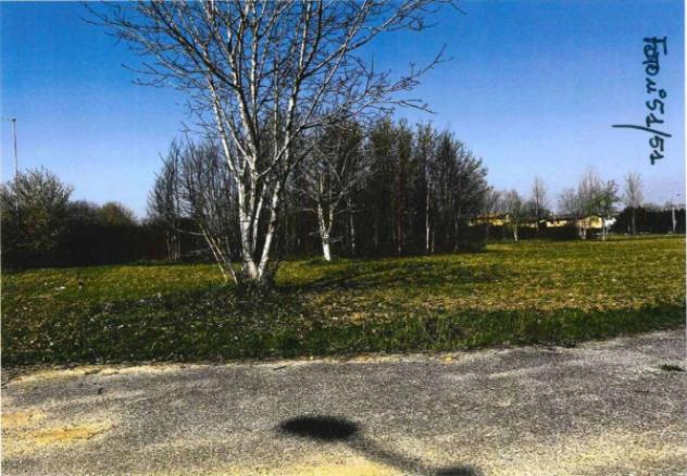 Immobile in asta di 34299 m² in vendita a Castel d'Ario - Foto 3