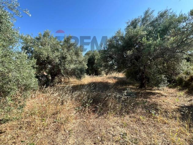 Terreno in vendita a Motta Sant'Anastasia - Foto 14