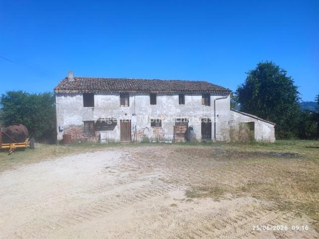 Azienda agricola con casa fienile e 26 ettari circa di terreno agricolo - Foto 6