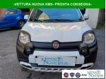 FIAT Panda Pandina Cross 1.0 FireFly Hybrid 5°P  KM0 rif. 24036027