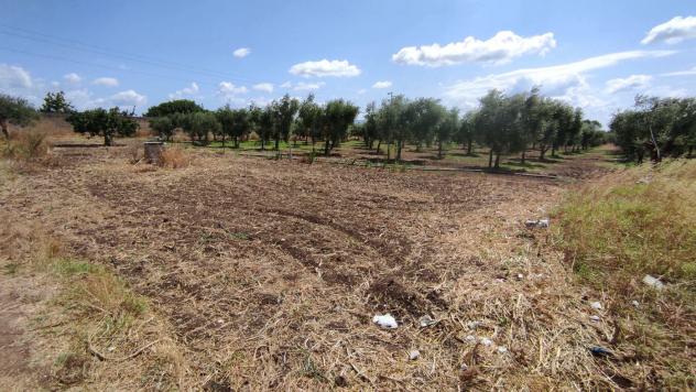 Terreno Agricolo - San Severo . Rif.: Cod. rif 3294216VCG - Foto 13