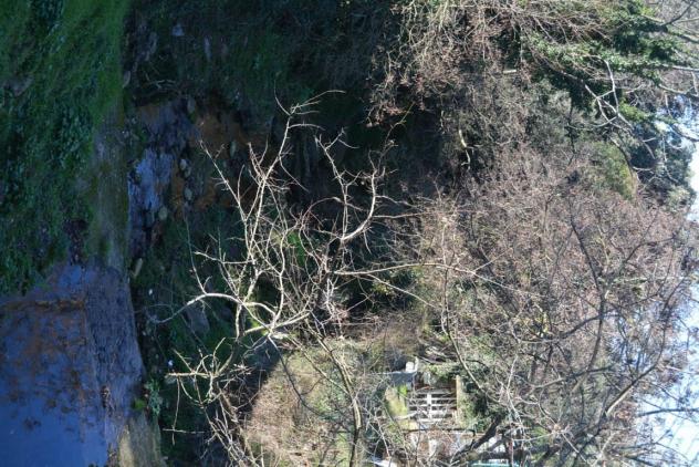 Vendita Rustico casale da 400 mq con giardino - Foto 17