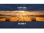 Immobile in asta di 18155 m² in vendita a Carpi