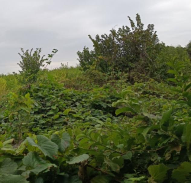 Immobile in asta di 12 m² in vendita a Majano - Foto 4