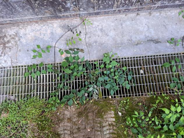 Agricolo in Via Albino Bottesi - Foto 19