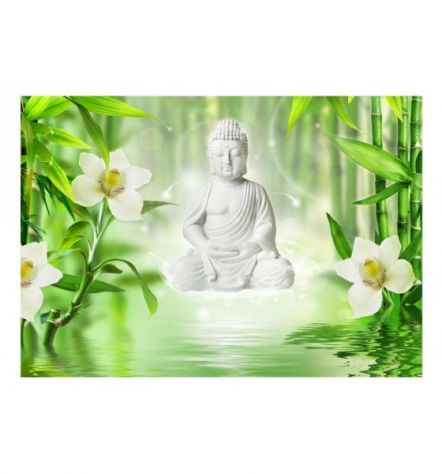 Fotomurale Adesivo Con Buddha Bianco In Giardino Arredalacasa - Foto 2