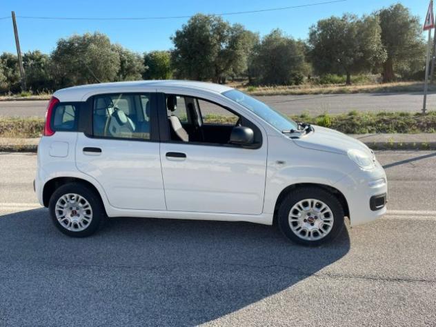 FIAT Panda 1.3 MJT S&S Easy Van 4 posti rif. 23712546 - Foto 4