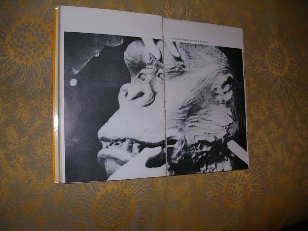 KING KONG - Foto 6