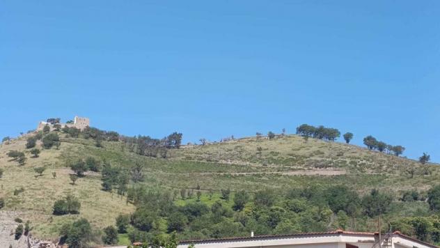 Vigneto in vendita a Castel San Giorgio - Foto 6