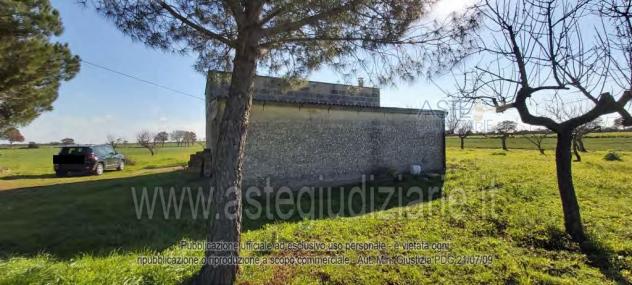 IMMOBILI-IMMOBILE COMMERCIALE-Case Sparse Panettieri - Foto 8