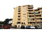 Appartamento in vendita a Pisa 50 mq  Rif: 1399695