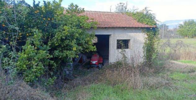 Immobile in asta di 449 m² in vendita a Pontecorvo - Foto 2