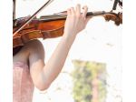 Violinista a Modena e Carpi