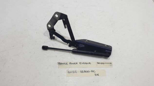 CERNIERA COFANO ANTERIORE DX LAND ROVER Range Rover Evoque 1° Serie 6H52-16800-AC (11)