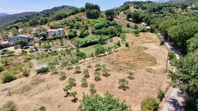 Agricolo in Contrada Vignale - Foto 10