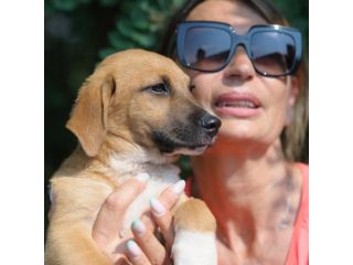 TURBO, 3 MESI CIRCA (10/4/25), TAGLIA MEDIO CONTENUTA, CERCA CASA!!