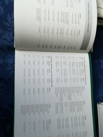 Catalogo Originale ROLEX anno 2019- 2020 - Foto 10