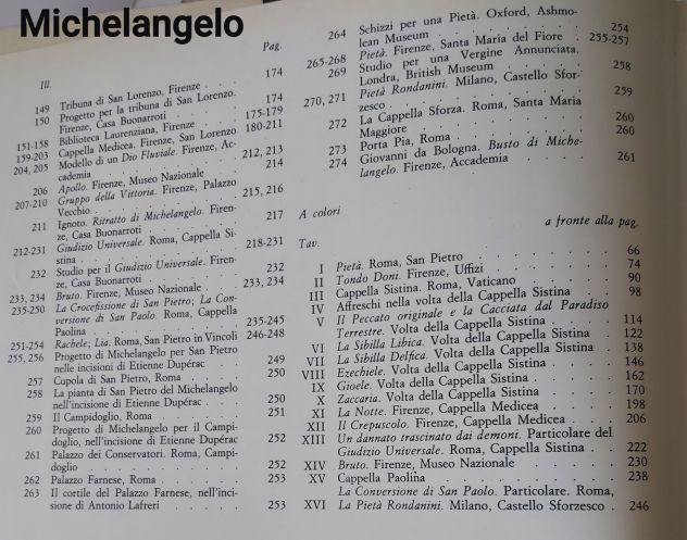 MICHELANGELO-architettura, scultura,pittura. - Foto 2