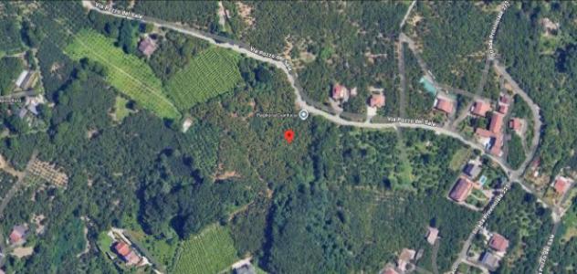 Immobile in asta di 5369 m² in vendita a Capriglia Irpina - Foto 13